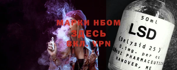 шишки Балахна