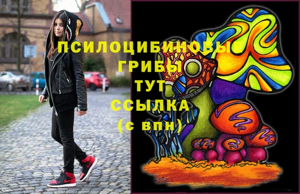 шишки Балахна