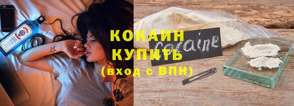 шишки Балахна