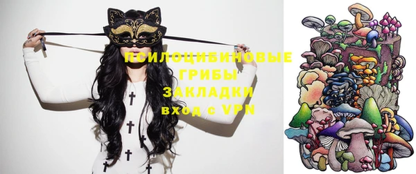 шишки Балахна