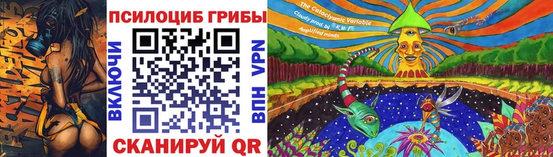 Галлюциногенные грибы Psilocybine cubensis  Купить закладки  Верхний Тагил 